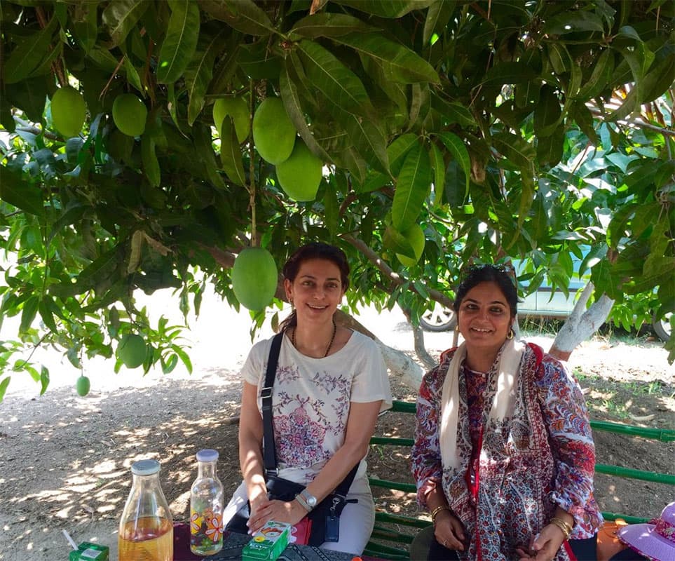 Check out the new organic farmers ..us ...!!At our  farm..see the size of mangoes on the trees..juusssstt lovely !! Twitter@iam_juhi