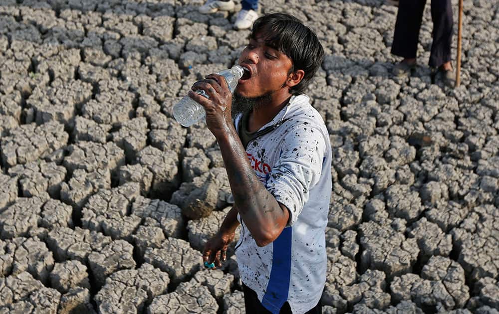 A man drinks water as he removes dead fish and tries to rescue the surviving ones from the Vastrapur Lake that got dried up due to hot weather in Ahmadabad.