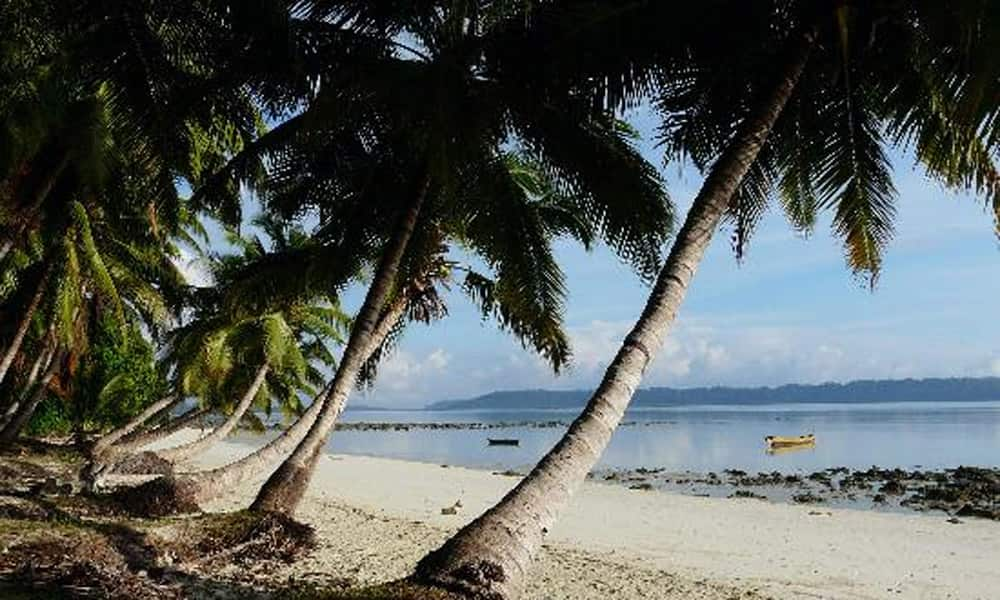 9. Havelock Island, Andaman and Nicobar Islands