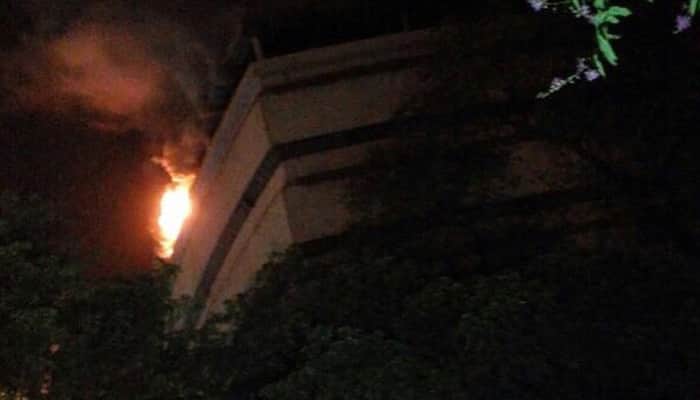 National Museum of Natural History completely gutted in major fire – SEE PICS