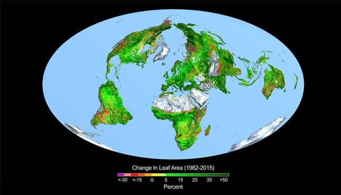 Earth getting greener due to carbon dioxide fertilization- Watch