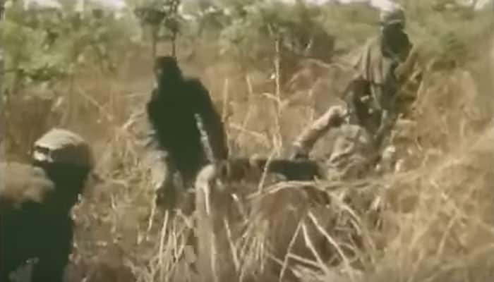 UNBELIEVABLE: How this man uses his leg as bait to catch anaconda will shock you! - WATCH