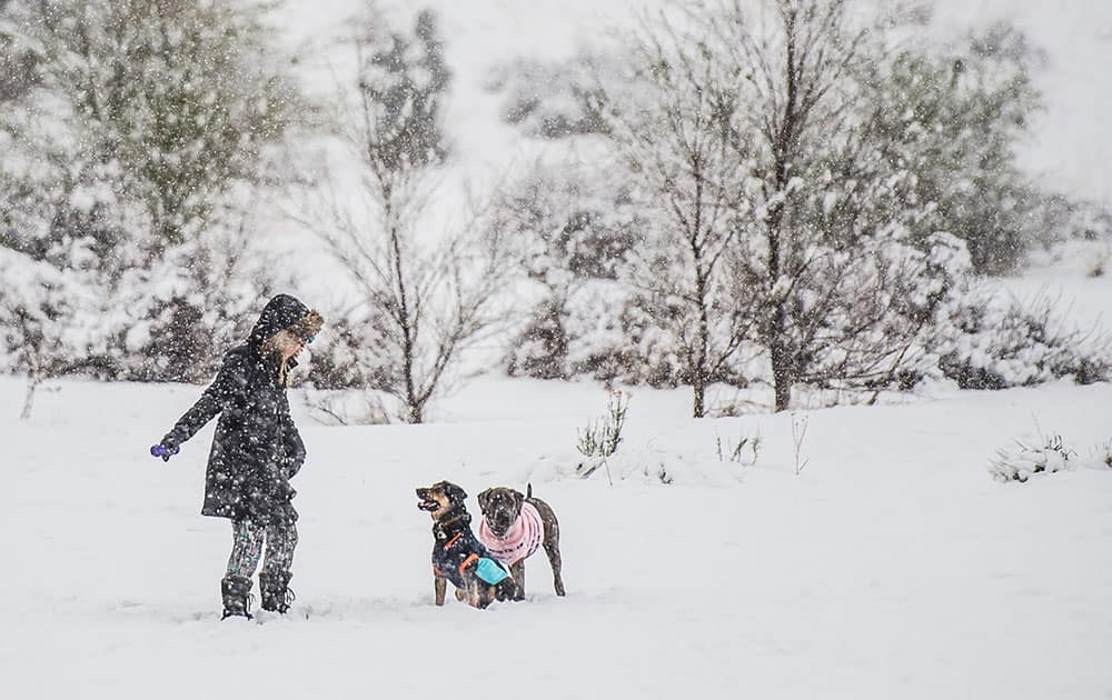 Melissa Kara plays with her dogs at Bear Creek Dog Park despite the snow on Friday, April 29, 2016 in Colorado Springs, Colo. 