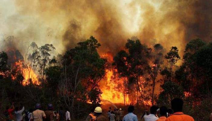 IAF choppers dump water to douse forest fires; Centre sends probe team to Uttarakhand