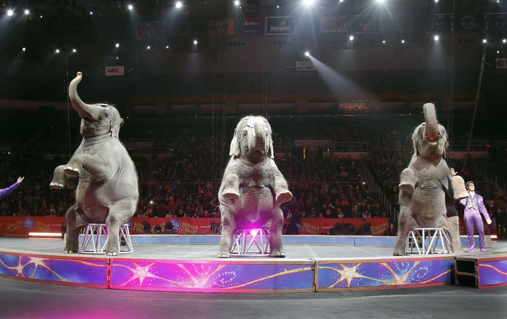 Asian elephants perform for the final time in the Ringling Bros. and Barnum & Bailey Circus in Providence, R.I. The circus closes its own chapter on a controversial practice that has entertained audiences since circuses began in America two centuries ago. The animals will live at the Ringling Bros. 200-acre Center for Elephant Conservation in Florida.