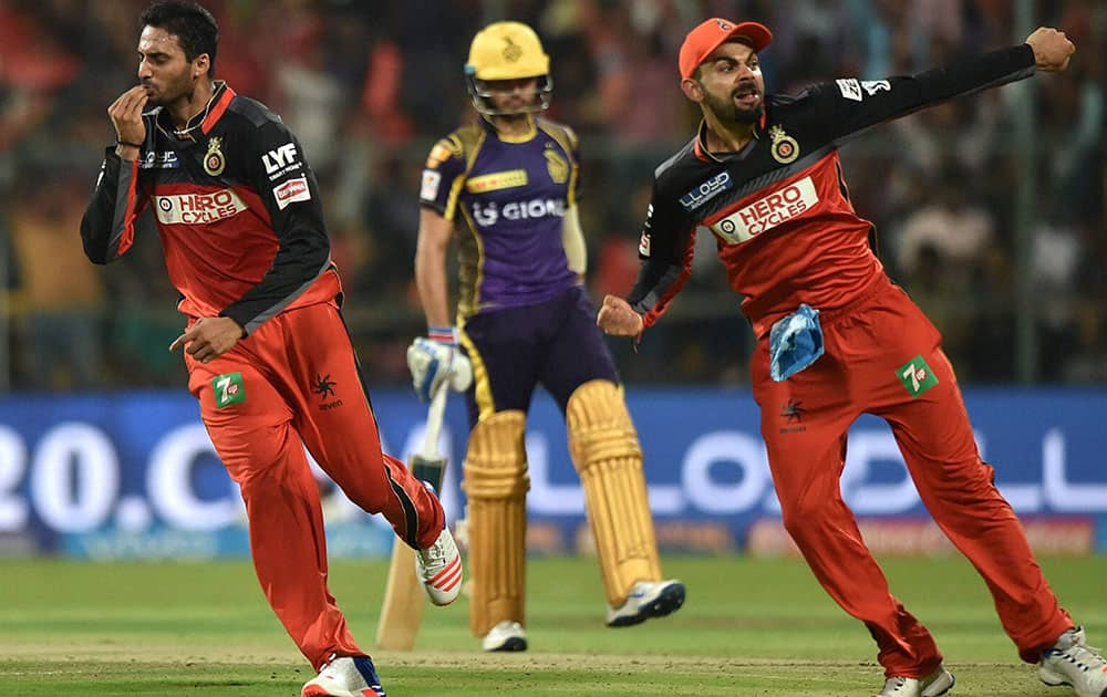 Royal Challengers Bangalore S Aravind celebrates the wicket of Gautam Gambhir during the IPL 2016 match against Kolkata Knight Riders in Bengaluru.