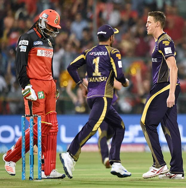 KKR bowler Morne Morkel celebrates the wicket of Chris Gayle during the IPL 2016 match against Royal Challengers Bangalore in Bengaluru.