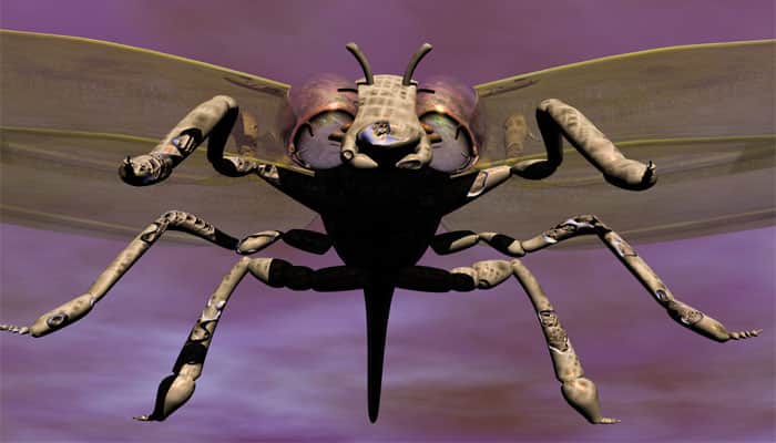 Honeybee-inspired model to help build flying robots