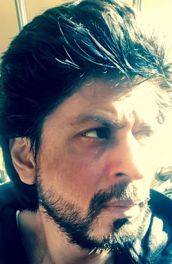 Shah Rukh Khan ‏:- Even a sun kiss doesnt justify flying so early in the morning & I don’t even want to catch worms!! -twitter