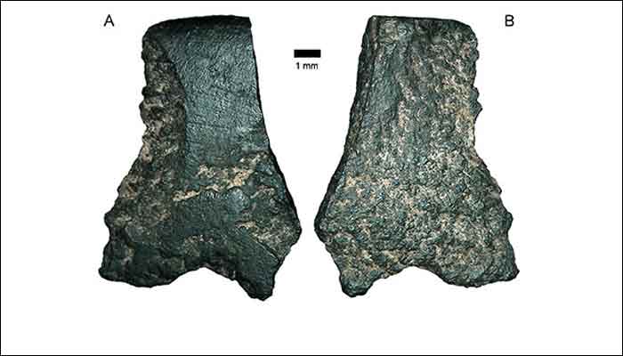 World&#039;s oldest axe discovered in Western Australia - Watch!
