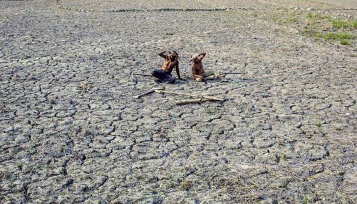 Maharashtra govt declares &#039;drought&#039; in 29,000 villages