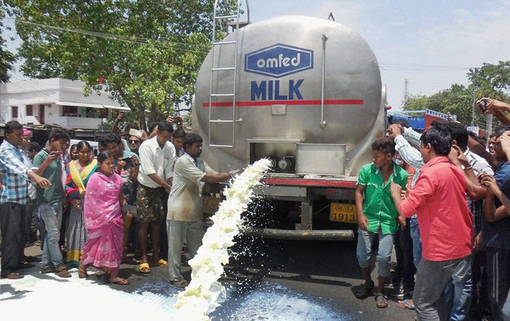 Irate dairy farmers destroying 30,000 litres of milk by spilling out from an Omfed tanker on the national highway at Baragarh in protest against the OMFED for not lifting enough milk from them.