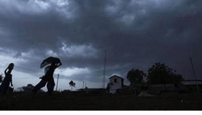 Odisha may get rain, thundershower, gusty surface winds in next 24 hours