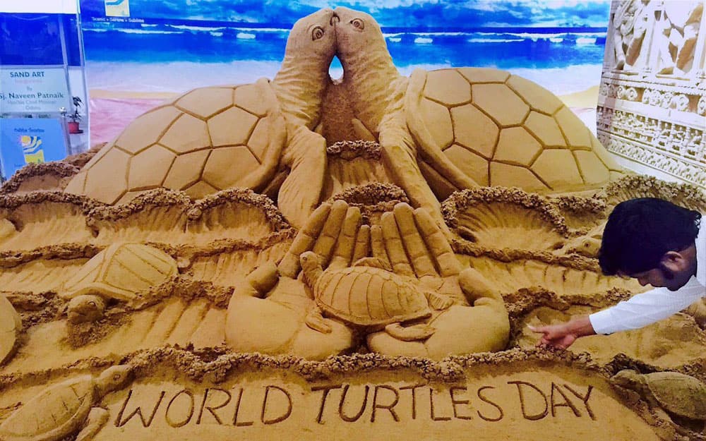 Sand artist Sudarsan Pattnaik creates sand sculpture on World Turtle Day (23rd May ) with message Love Us, at Bhubaneswar airport.
