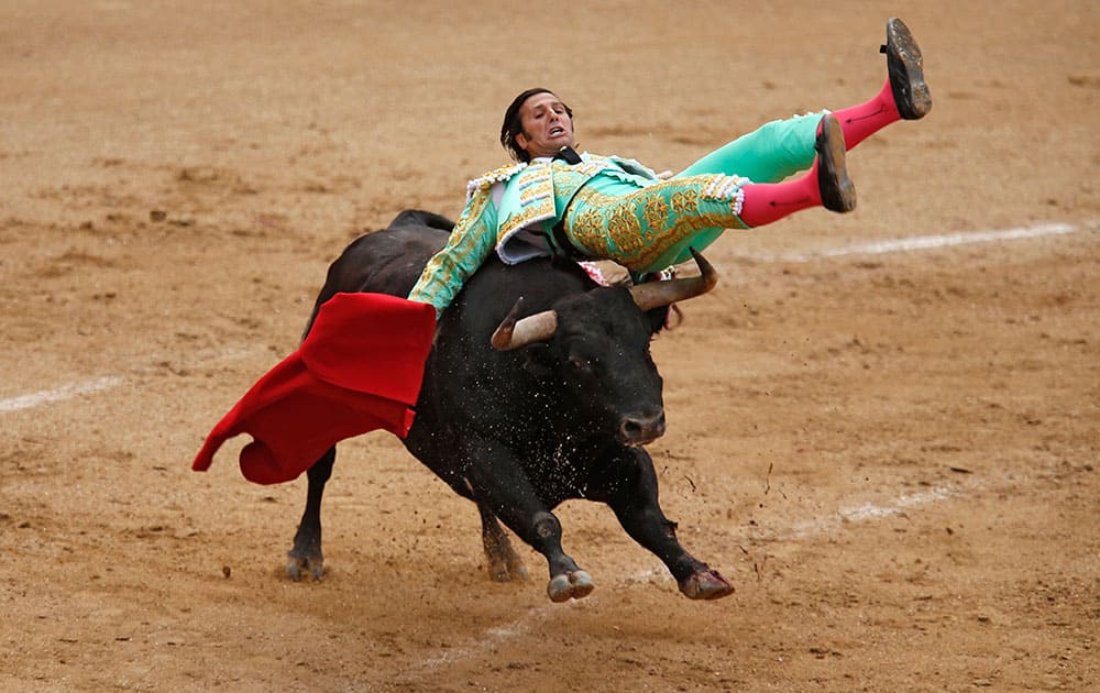 Spanish bullfighter David Mora is tossed by an Alcurrucen ranch's fighting bull during a bullfight at the Las Ventas bullring in Madrid, Spain.