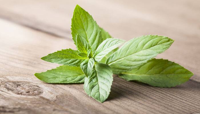 Mint leaves helps in reducing the burning sensation and the pain associated with the acid reflux because of its contains cooling properties and also lowers the acid content in the stomach.
