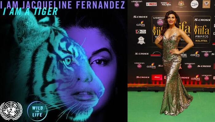 &#039;I am a Tiger. What are you?&#039; asks Jacqueline Fernandez!