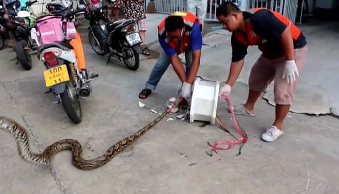 Thai man whose penis was bitten by 10-foot long python in toilet recovering