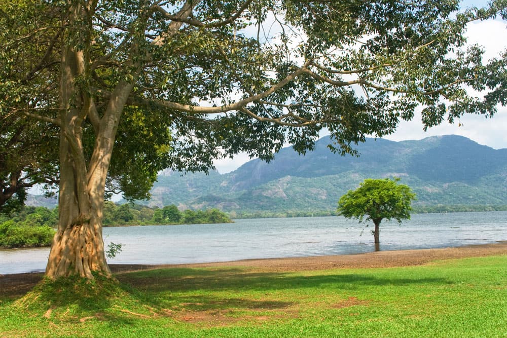 Kandalama lake (Pic courtesy: Thinkstock Photos)