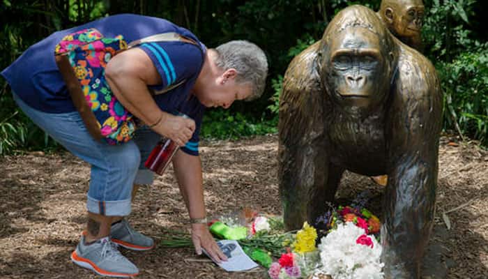 US zoo defends killing gorilla that grabbed boy