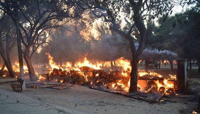 Mathura violence: You won&#039;t believe how many trees were destroyed, charred due to clashes
