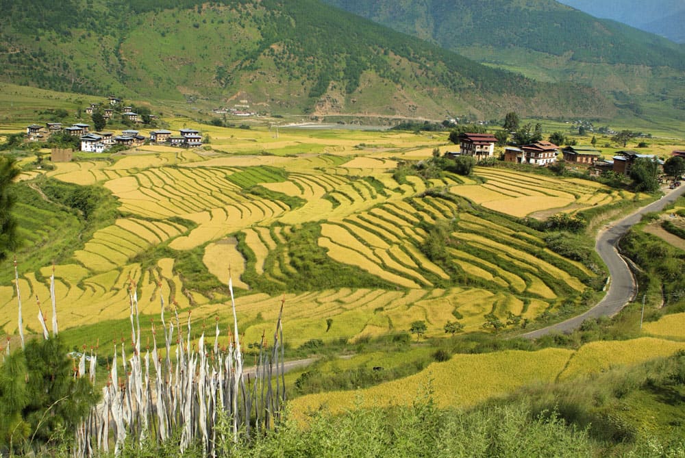 Punakha