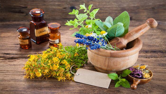Our mother nature has gifted us thousands of natural medicines and natural antibiotics. Natural antibiotics and antiviral herbs follow unique mechanism that not only boosts our immunity but also promote growth of healthy bacteria in the body. Apart from this, these herbs also possess anti-septic and anti-inflammatory properties. Take a look at some powerful natural antibiotics which you might be ignoring for a while.
