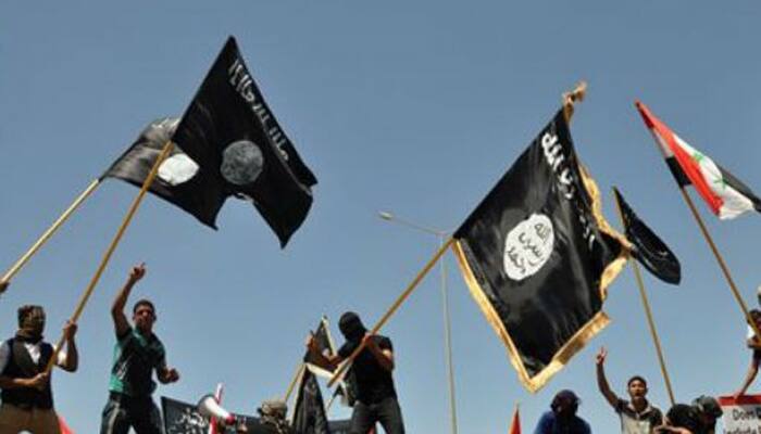 Islamic State has created global battlefield: US Senator
