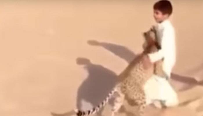 Unbelievable but true! Young boy filmed playing with Cheetah in desert