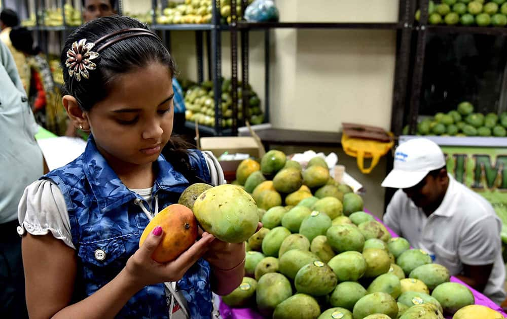 West Bengal mango festival