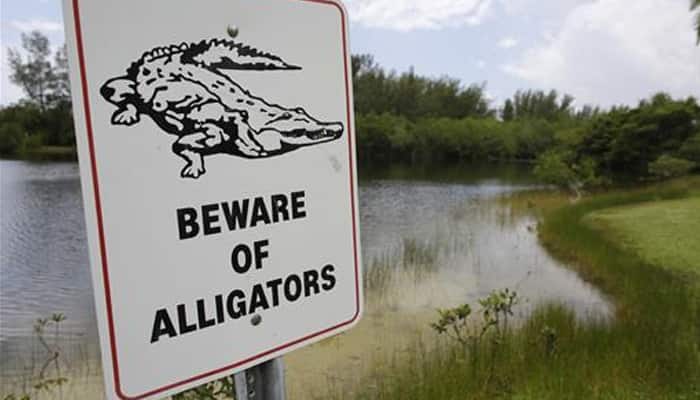 Disney to post alligator warning signs after boy&#039;s death