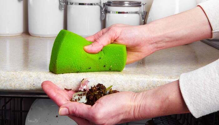 Kitchen sponges