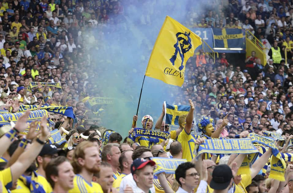 Sweden team supporters cheer during soccer match