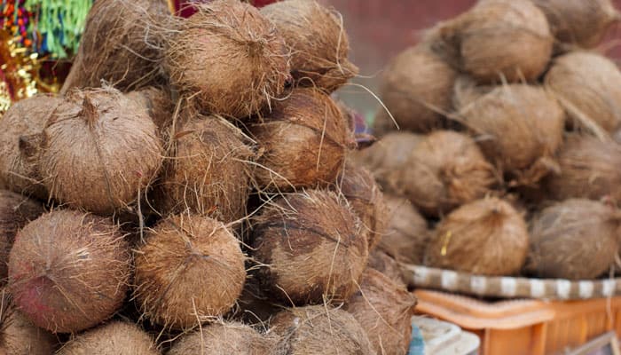 Do you know why coconuts are offered to deities in temples?