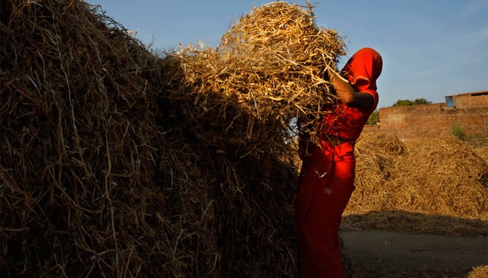 For single women in Maharashtra, owning land can be the difference between life and death