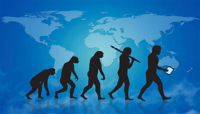 We evolved 3 times faster post dinosaur extinction