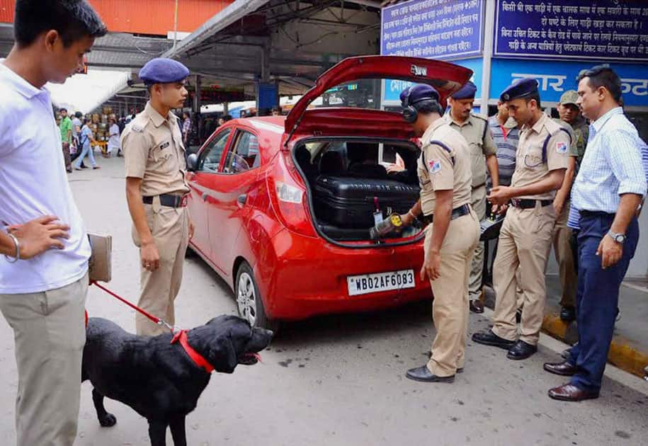 Security personnel with sniffer dog checking the luggage