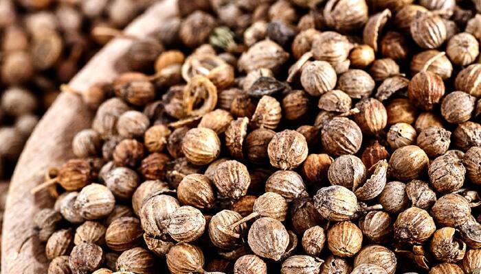 Coriander seeds