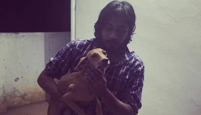 Chennai dog thrown from rooftop found alive - Love wins, hate bites the dust!