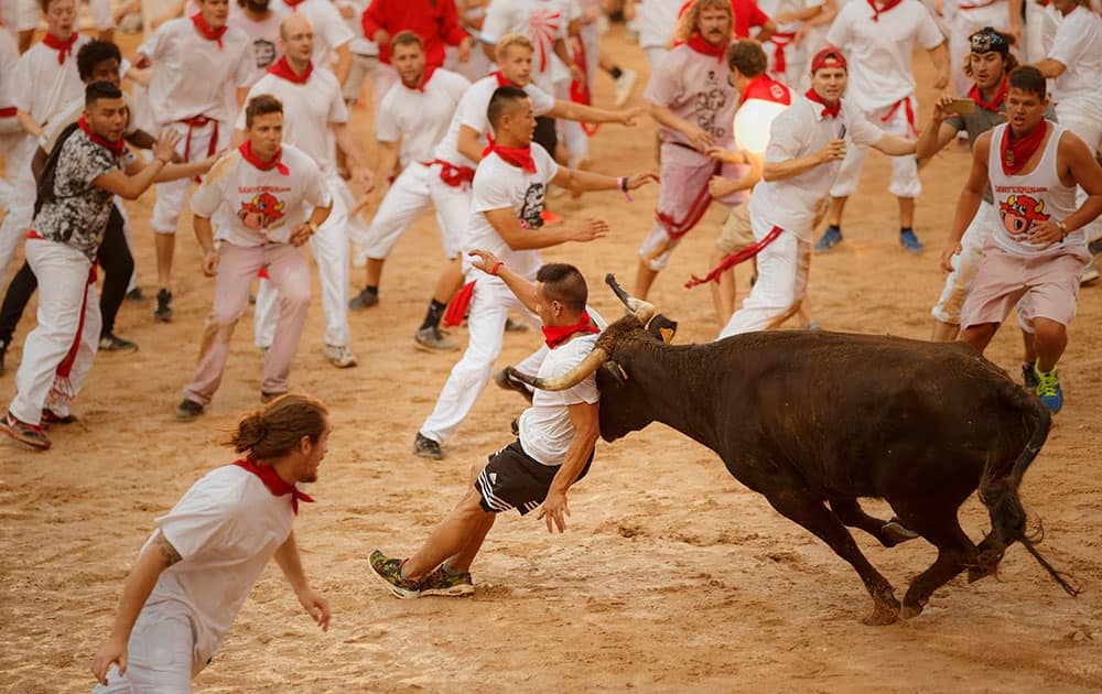 A reveler is charged by a cow in the bullring