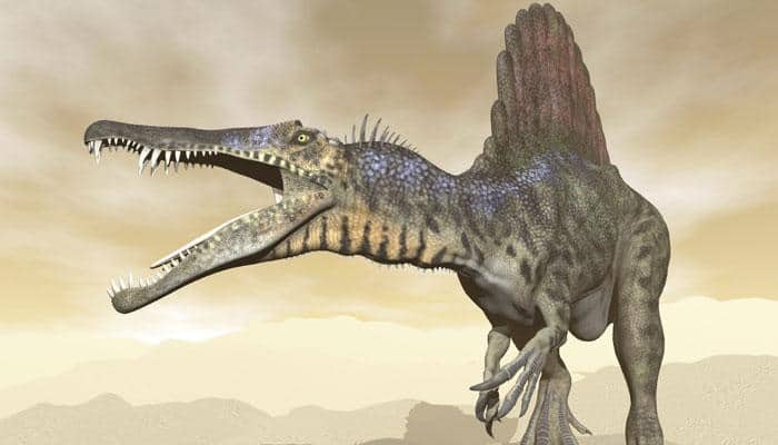 Rare facial tumor is found in fossils of dwarf duck-billed dinosaur