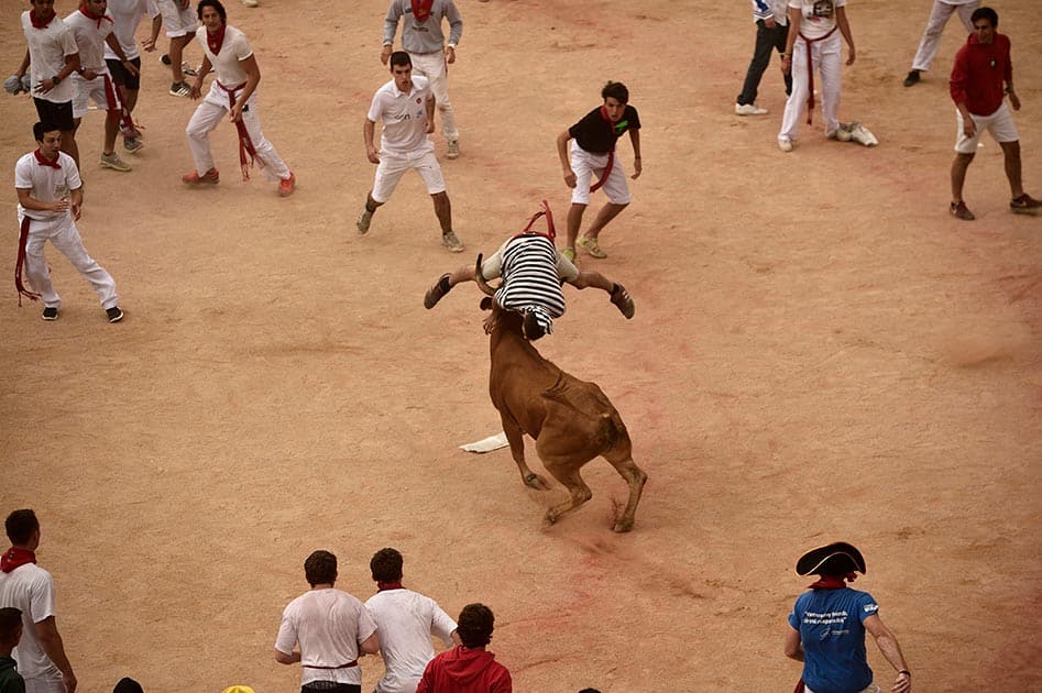 A reveler jumps over a cow