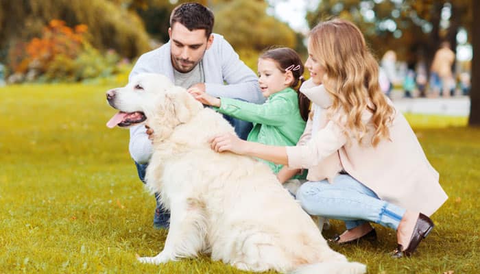 Bright future! Energy saving behaviour spreads from children to parents