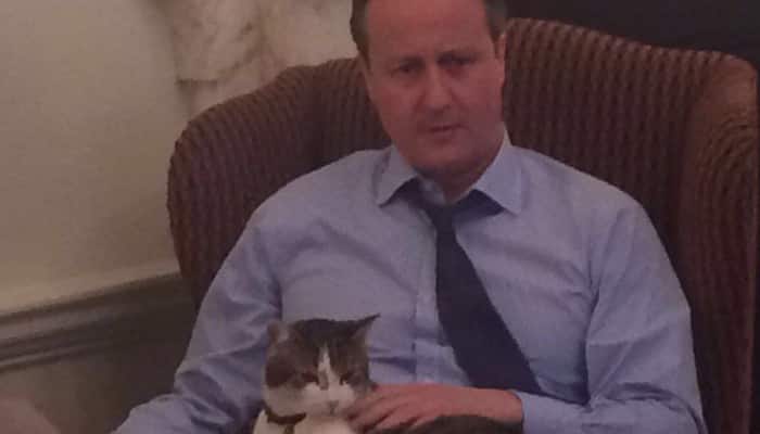 Know why David Cameron posted pic of 10 Downing Street cat on Twitter as &#039;proof&#039; of his love for Larry