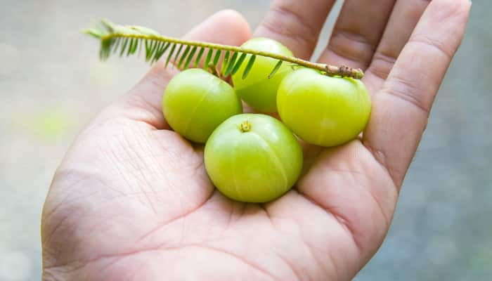 Indian gooseberry (amla) and lemon juice