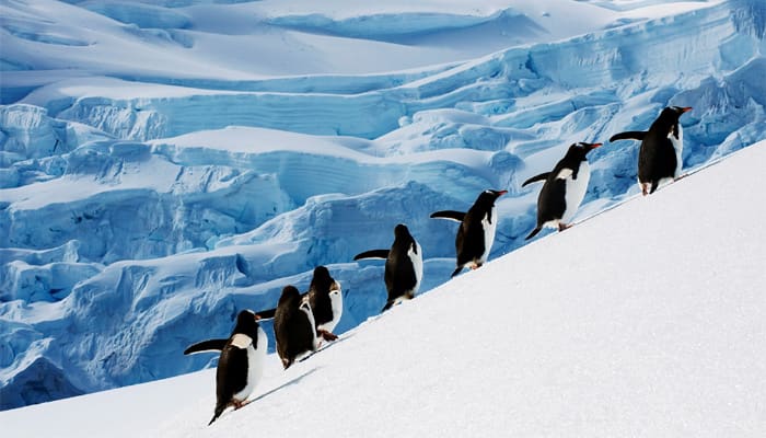 Thanks to natural forces, Antarctic temperature falls! But it&#039;s temporary 