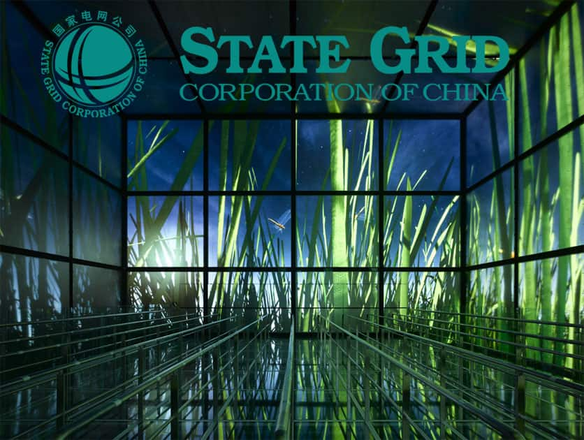 State Grid