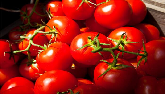 Tomatoes