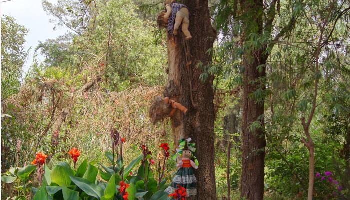 Are you daring enough to visit THIS spooky &#039;Island of the Dolls&#039;?