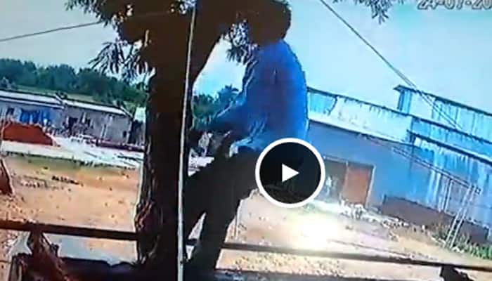 Hair-raising CCTV footage: MP labourer touches high-voltage live electric wire – See what happens next